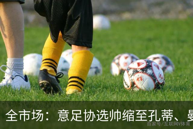 全市场：意足协选帅缩至孔蒂、曼奇尼